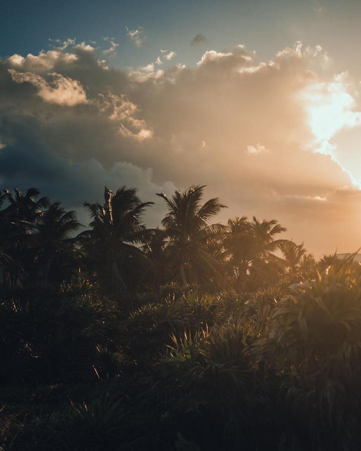 O' Tulum Boutique Hotel - Adults Only Eksteriør bilde